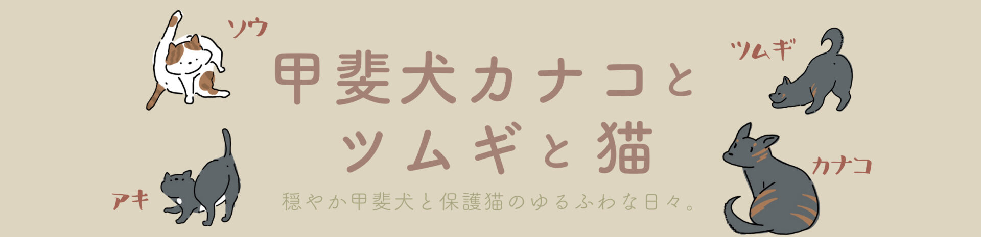 甲斐犬カナコとツムギと猫